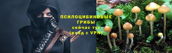 ALPHA-PVP Магас