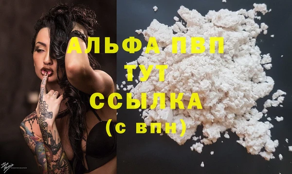 мет Галич