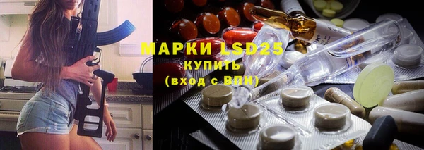 дживик Майский