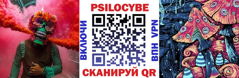 МЕГА Майский Псилоцибиновые грибы мицелий купить сайты
