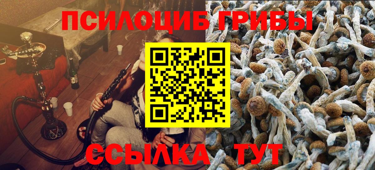 Галлюциногенные грибы Magic Shrooms  Вход с VPN  Майский 