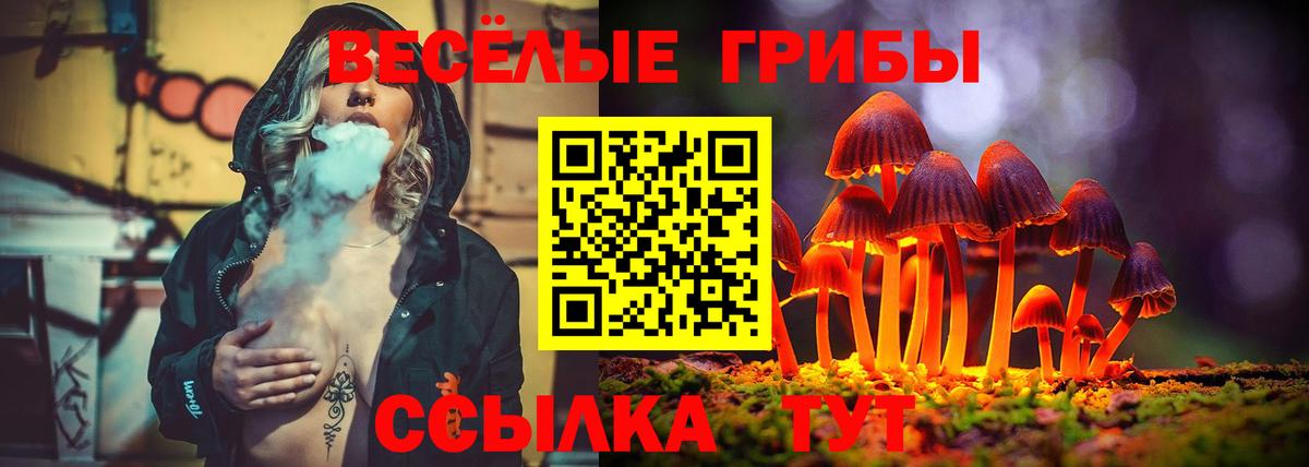Галлюциногенные грибы GOLDEN TEACHER Майский